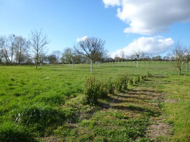 Partly Renovated Longere with 7060m2 of.. - 2