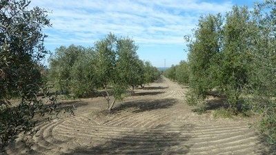 Land - Awaiting further details for.. - 2