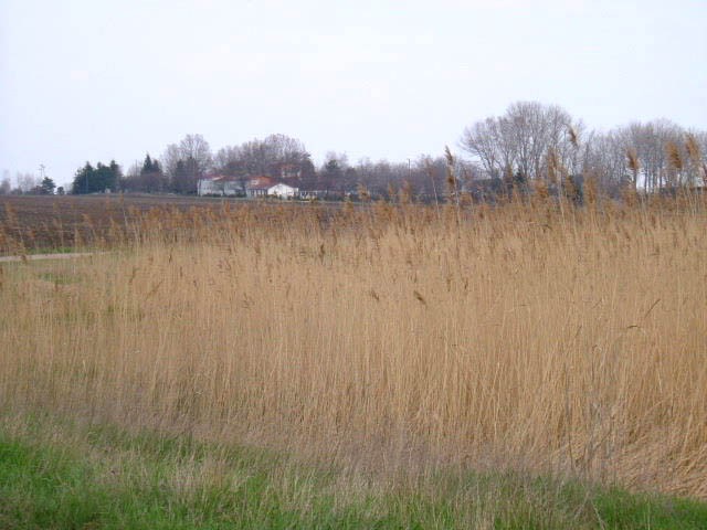 Land in Shabla - 2