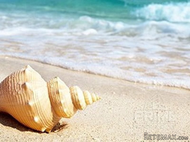 Land in Paphos, Cyprus, for Sale -..