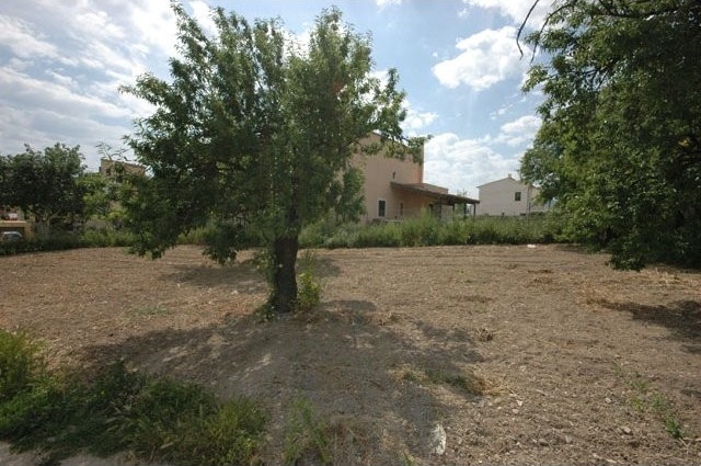 Plot - Calvia