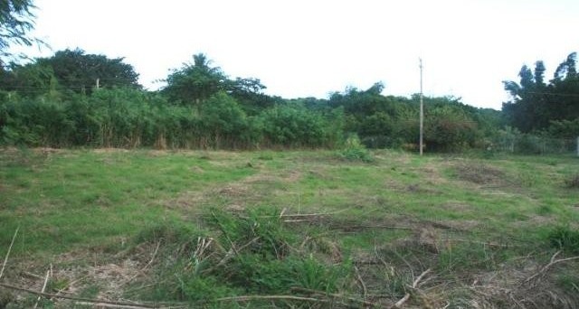 Property For Sale: Westport Lot, St...