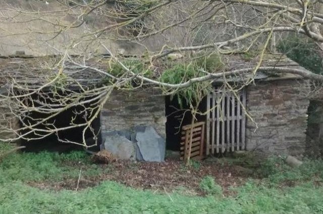 4 Bed Finca For Sale 4 - 2