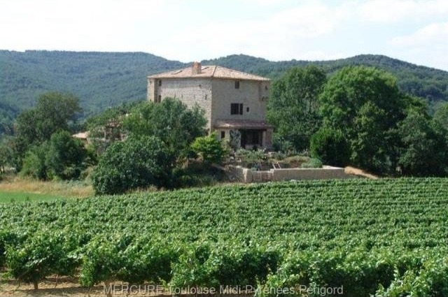 8 bedroom Castle For Sale: 11000 AUDE - 2