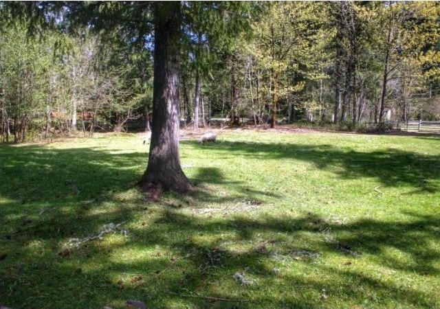 Land - 1.09 acre parcel with large..
