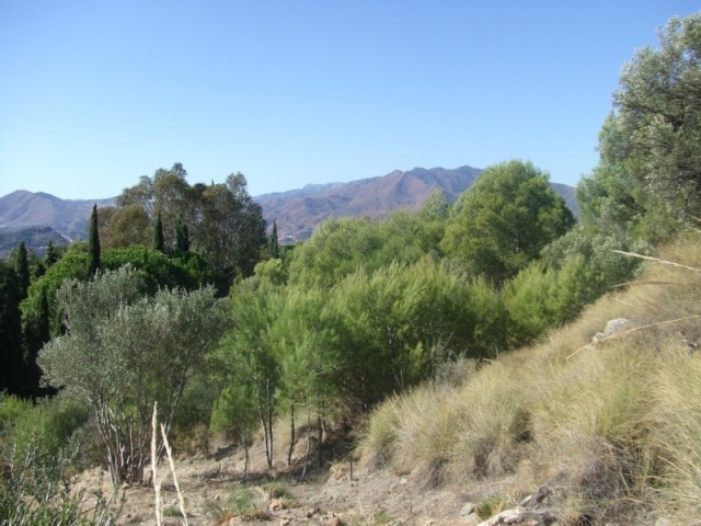 Land - UNIQUE OPPORTUNITY TO PURCHASE A..