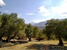 Residential Land Property Crete
