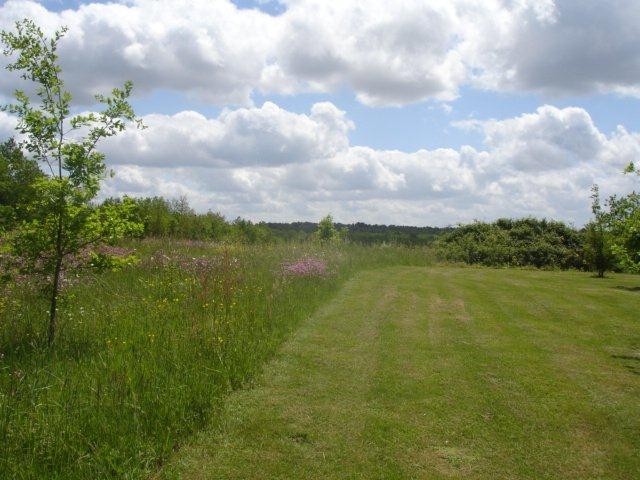 27246 - Vente - Terrain - Vergt - 2