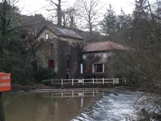 Water Mill Property with Character