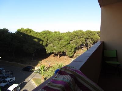 Apartment, Guardamar del Segura Price..