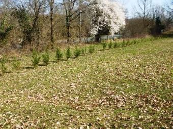LOT ET GARONNE land constructable of.. - 2