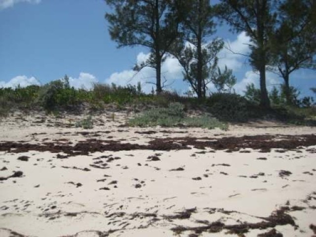 Singlefamilyvacant - A vacant lot.. - 2