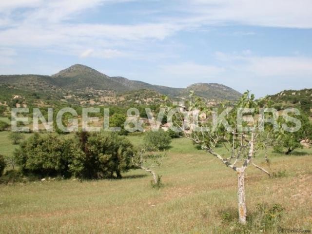 Plot of land with fantastic views of.. - 2