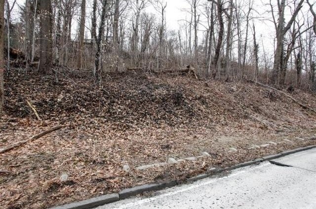 Land For Sale: Hartsdale, New York - 2