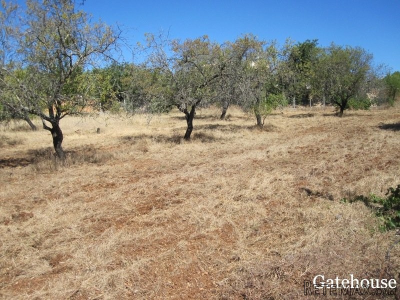 Plot With Project For Sale In Sao Bras..