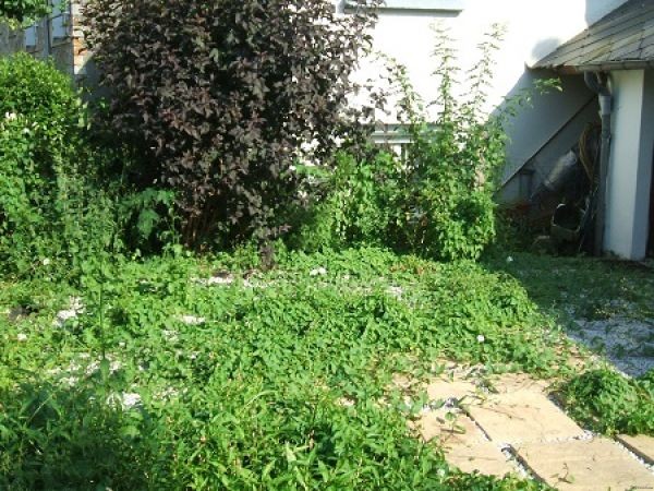 Lovely Village House, Ideal Second Home - 2