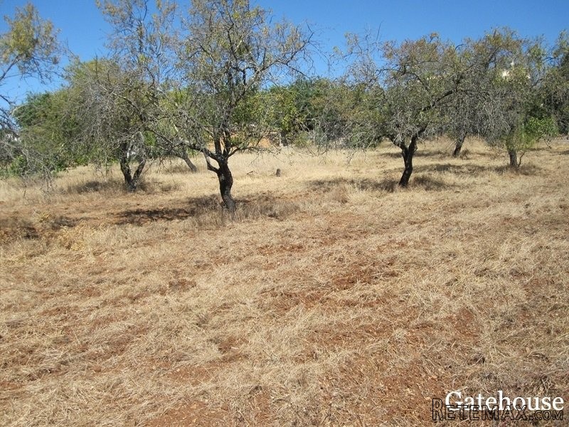Plot With Project For Sale In Sao Bras.. - 2