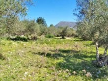 West-Crete Land Property For Sale - 2