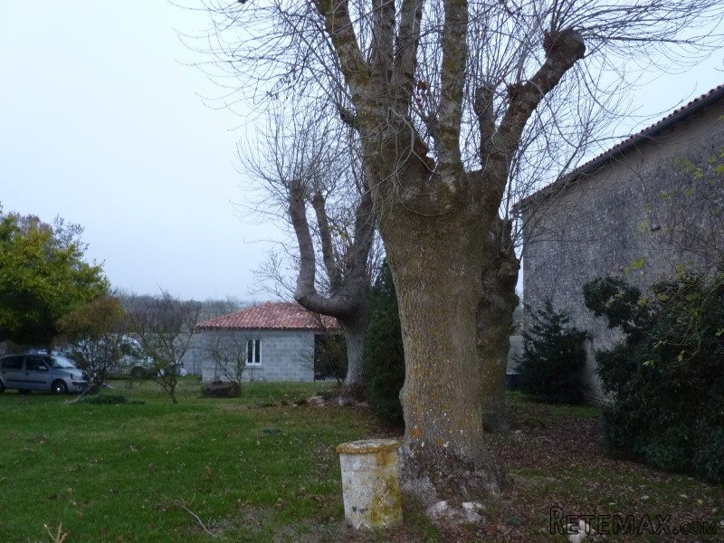 Stone House For Sale St Jean D Angely - 2
