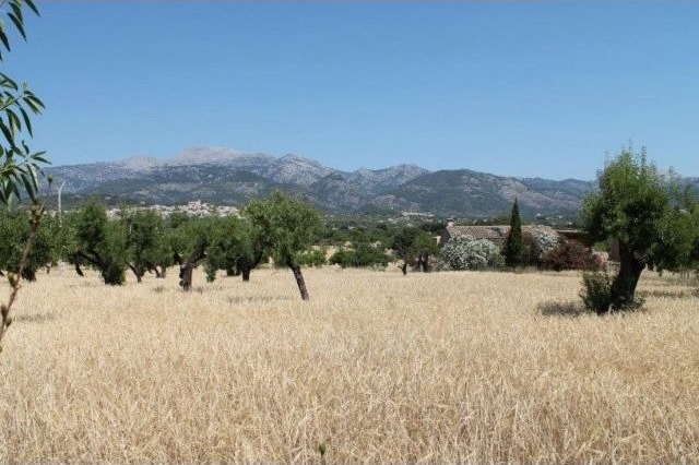 Building plot with views - 2