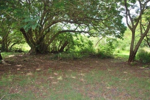 Property For Sale: Dover Pasture.. - 2