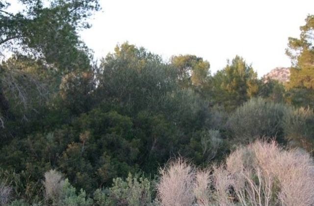 Flat Plot Of 2.000 M2 In One Of The..