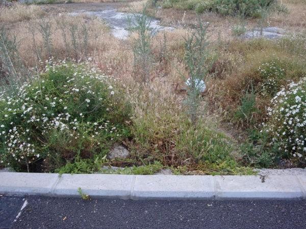 Land property for sale in San Isidro.. - 2