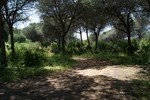 - Property - Malaga - For Sale - 2