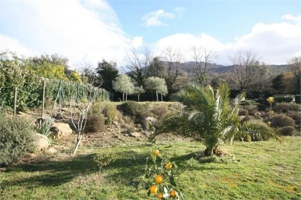 Superbe Villa Sur 6000m² Avec Piscine.. - 2