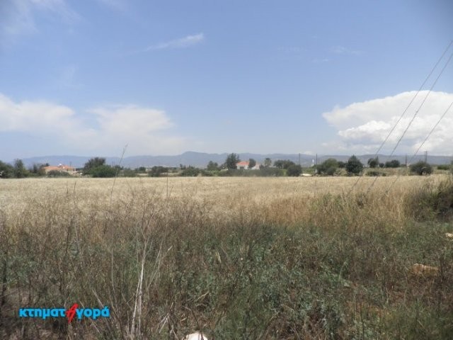 Agricultural Land in Neo Chorio, Pafos - 2