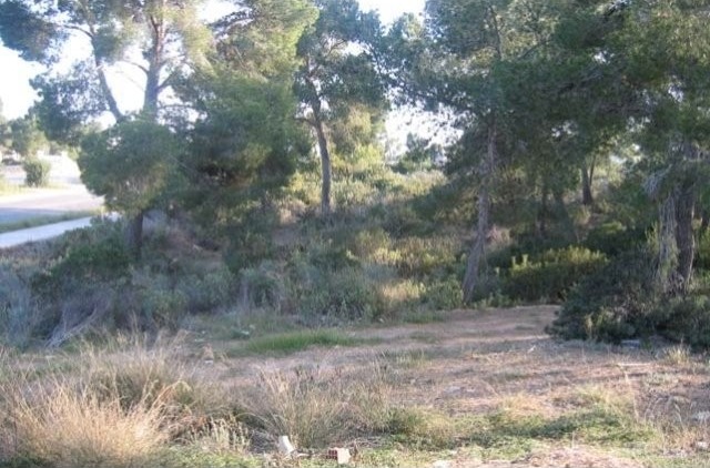 Flat Plot Of 1.219 M2 In Santa Ponsa.. - 2