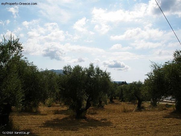Land - Zakynthos - For Sale - 2
