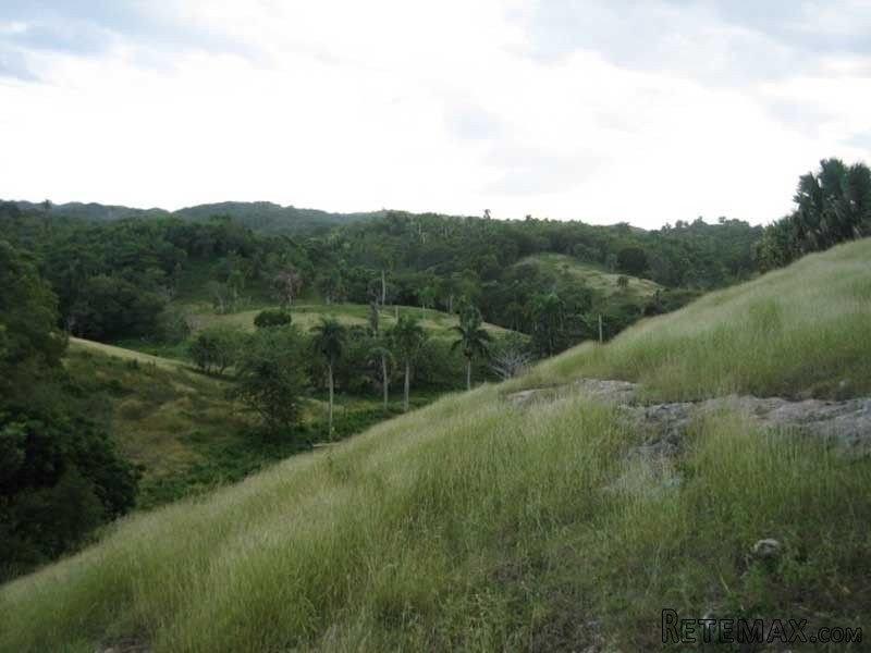 Beautiful Farmland In Cabarete For Sale - 2