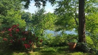 Fabulous Views Over The River From This.. - 2