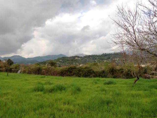 Plot with beautiful views in quiet.. - 2