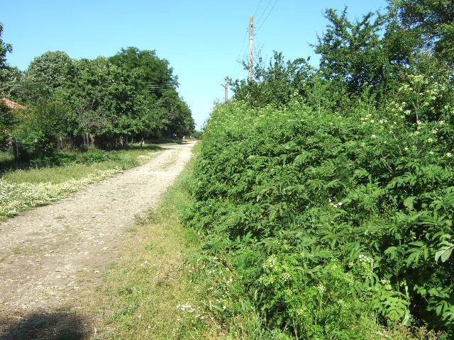 Land in Dobrava, Balchik - 2