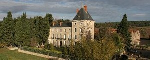 19th Century Castle Of 1000 M² With.. - 2