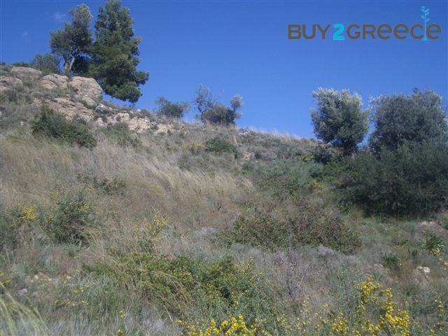 Β198 - Land parcel of 5500 sqm ,at.. - 2
