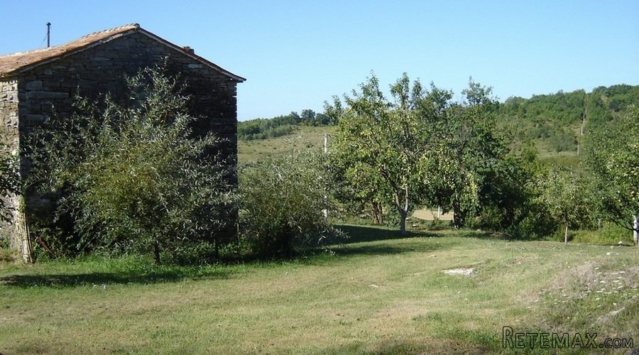 Istra – 12.233 m² prostrano zemljište, mirna lokacija - 15