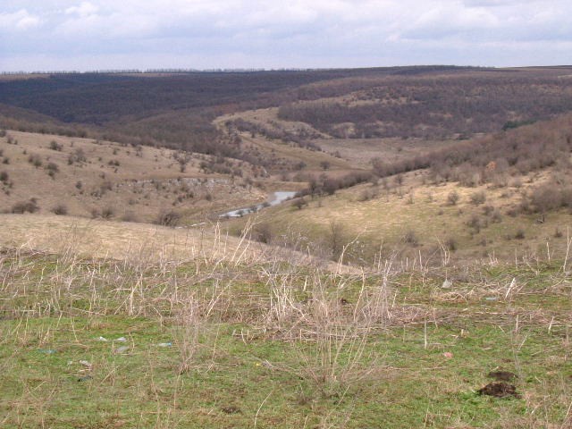 Land in Sernets, Dobrich