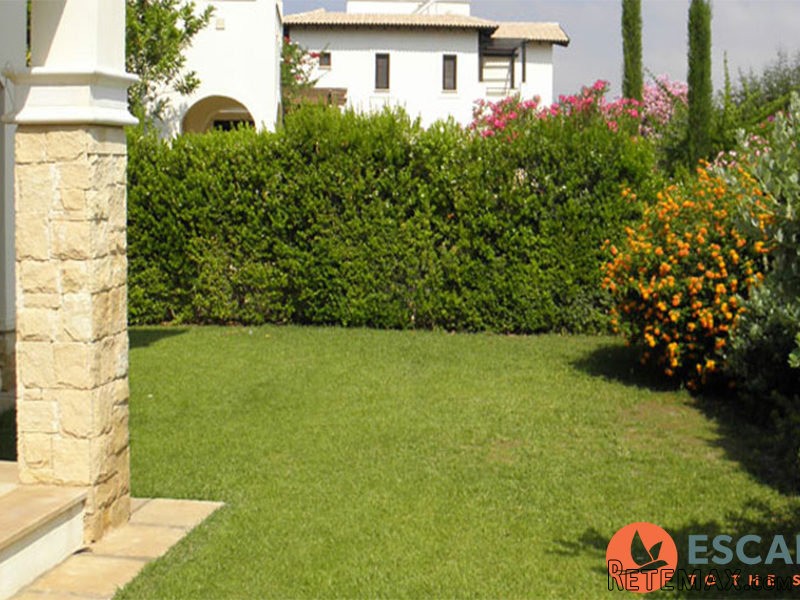 Luxury Apartment In Helios Heights