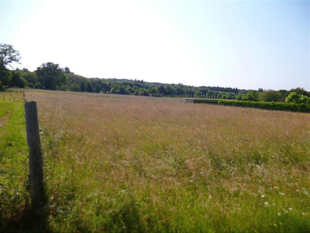 Building Plot For Sale In Green..