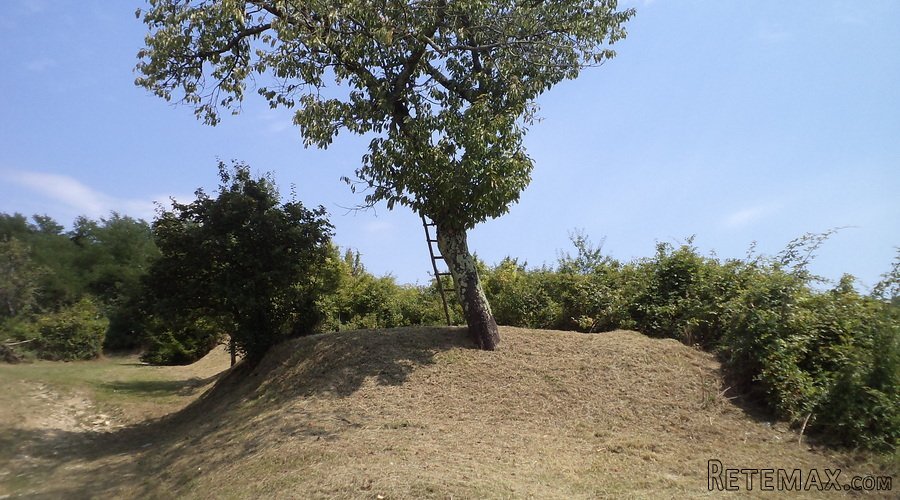 Istra – 12.233 m² prostrano zemljište, mirna lokacija - 20