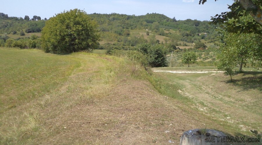 Istra – 12.233 m² prostrano zemljište, mirna lokacija - 21