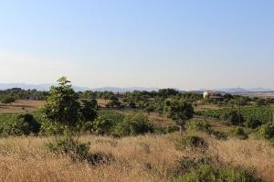 Finca plot with panoramic views - 2