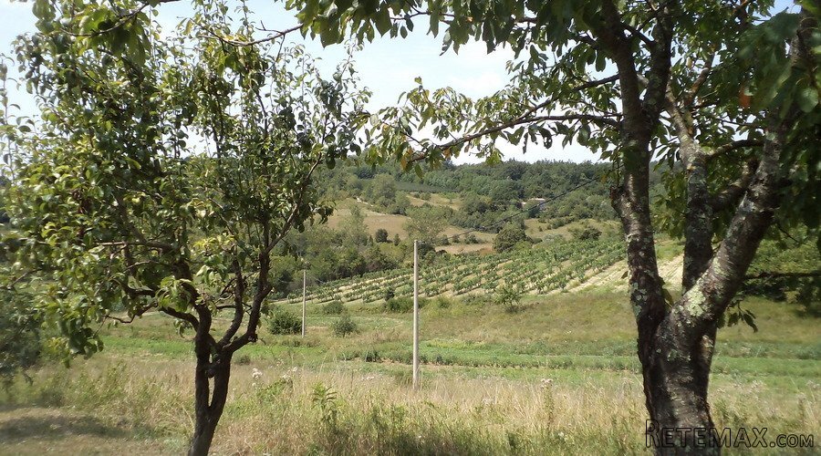 Istra – 12.233 m² prostrano zemljište, mirna lokacija - 24
