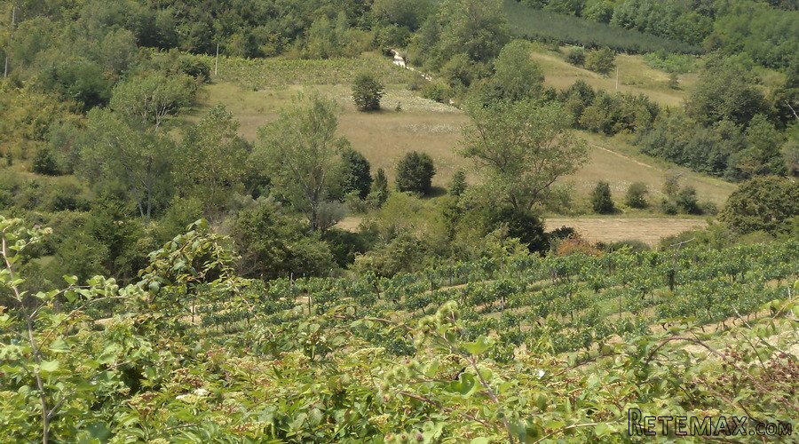 Istra – 12.233 m² prostrano zemljište, mirna lokacija - 25
