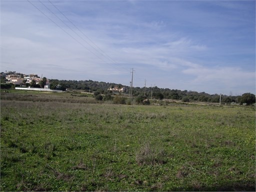 Plot - Odiaxere - Lagos - Algarve - for.. - 2