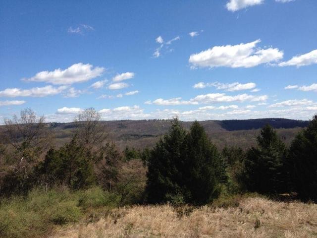Land For Sale: 70 Mosle Road - 2
