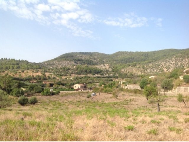 Spacious building plot in best area in..